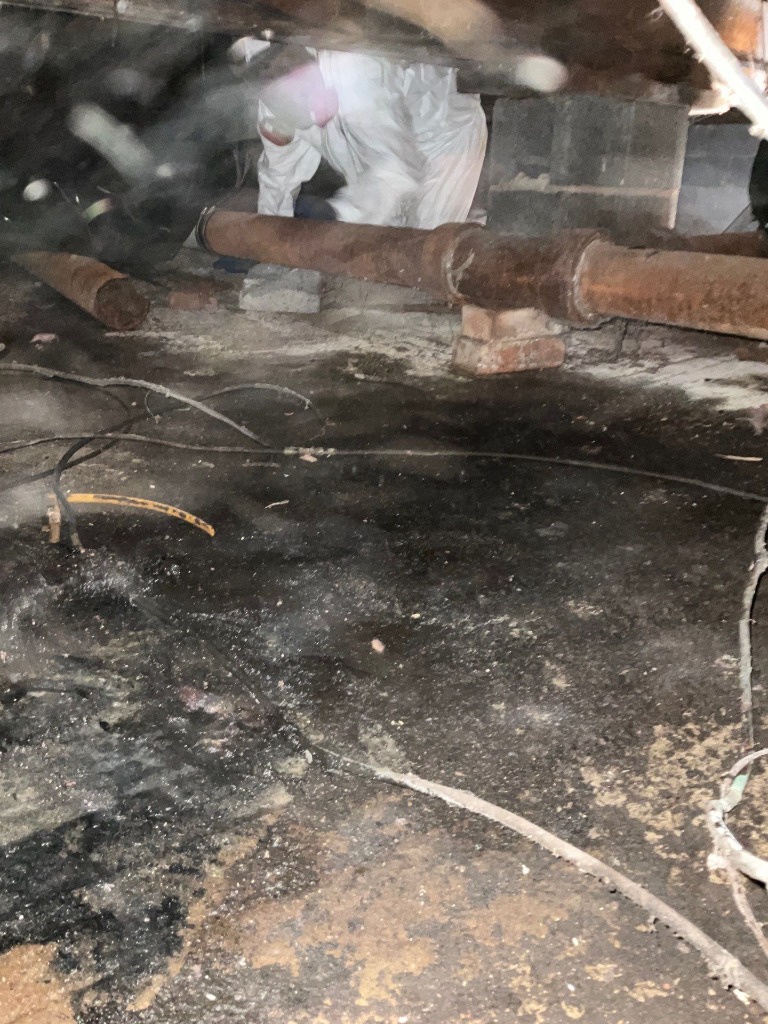 Preventing Mold After a Storm: What Homeowners Need to Know
